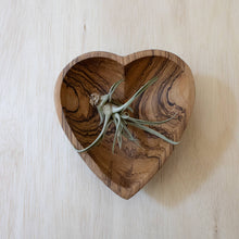 Load image into Gallery viewer, Large Heart Dish - Olive Wood
