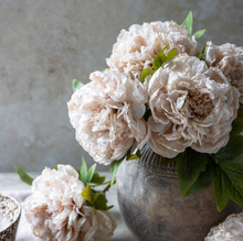 Load image into Gallery viewer, Peony Evening Dew
