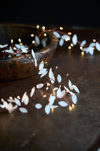 Leaf Cluster String Lights